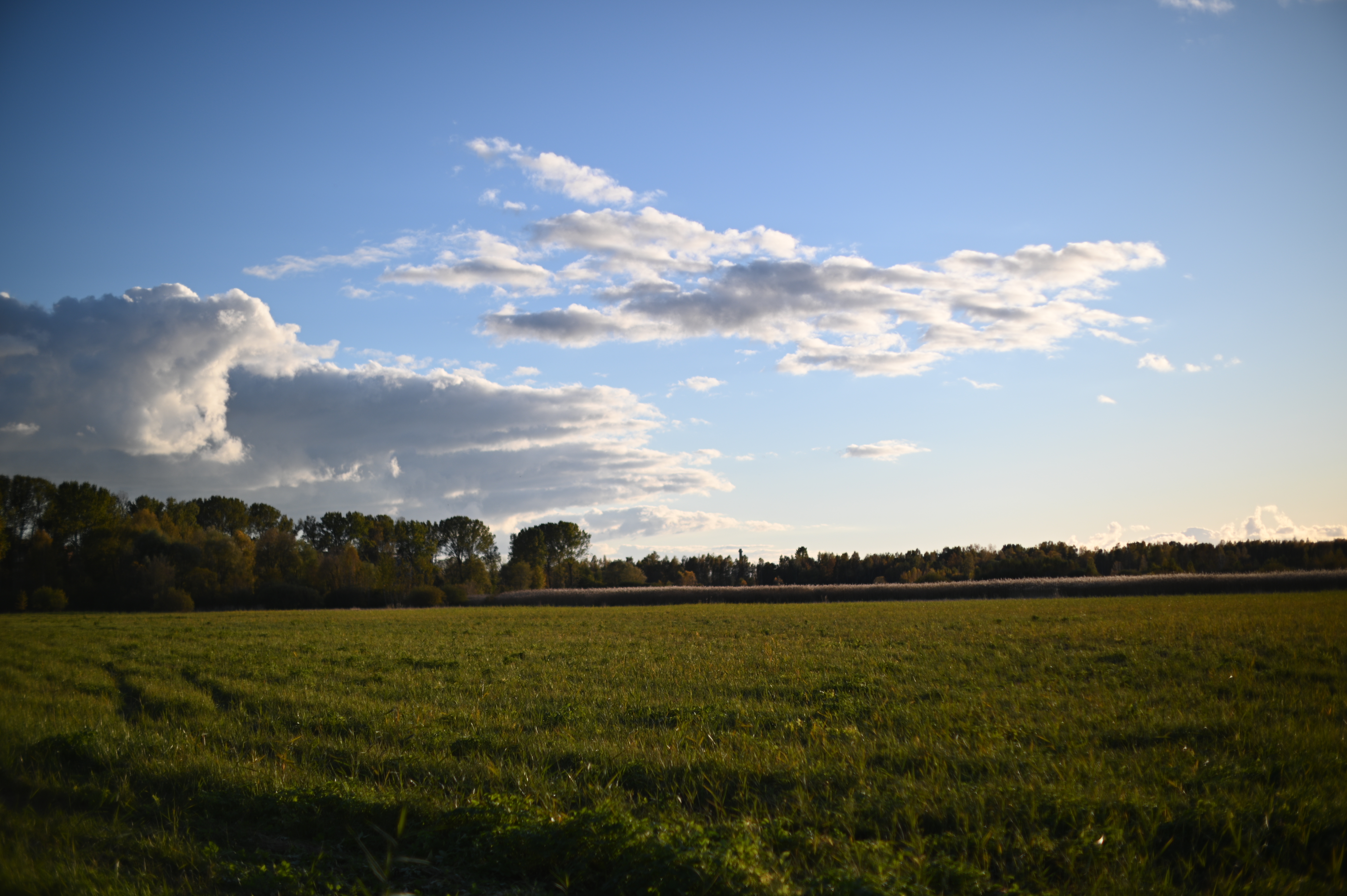 2025/10/18 - walk/DSC_0176.JPG